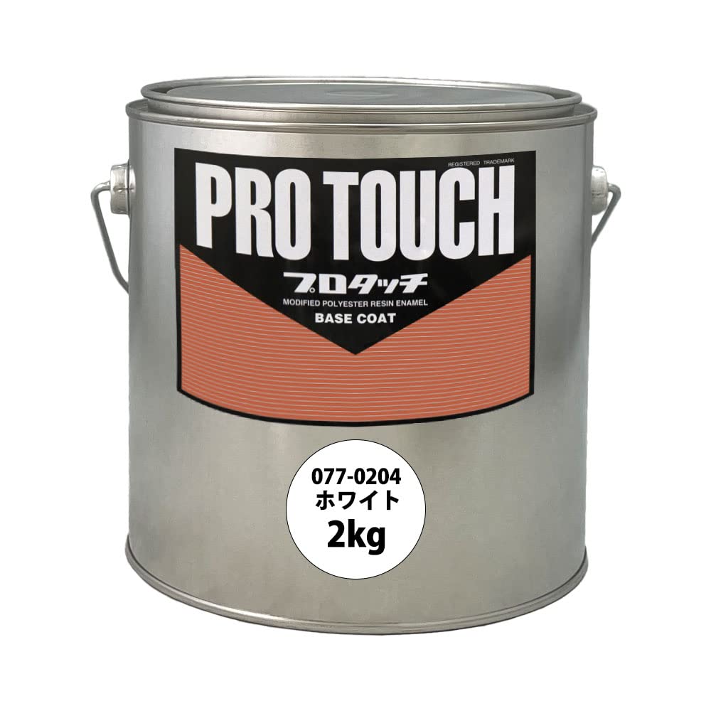 Amazon.co.jp: Rock ProTouch 077-0250 Zet Black Primary Color 500g